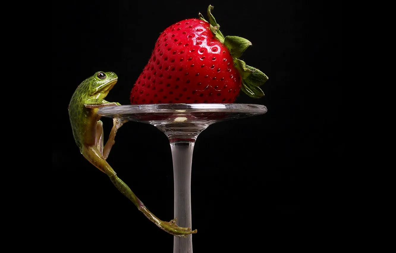 Photo wallpaper frog, strawberry