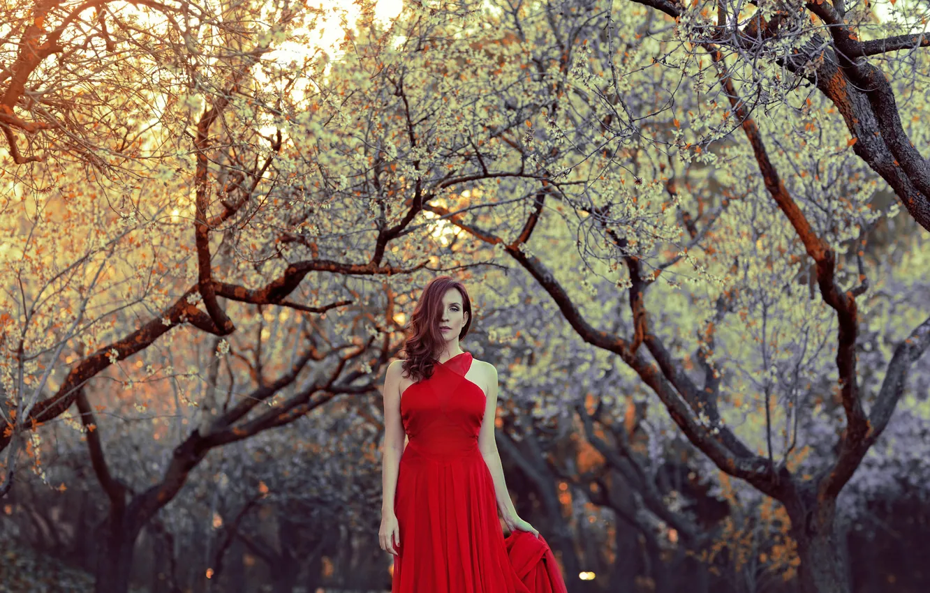 Photo wallpaper girl, style, background, dress, in red
