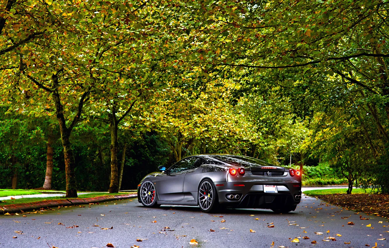 Photo wallpaper Ferrari, Green, Autumn, Tuning, asphalt, Silver, 430, Wheels, Trees, Leaf