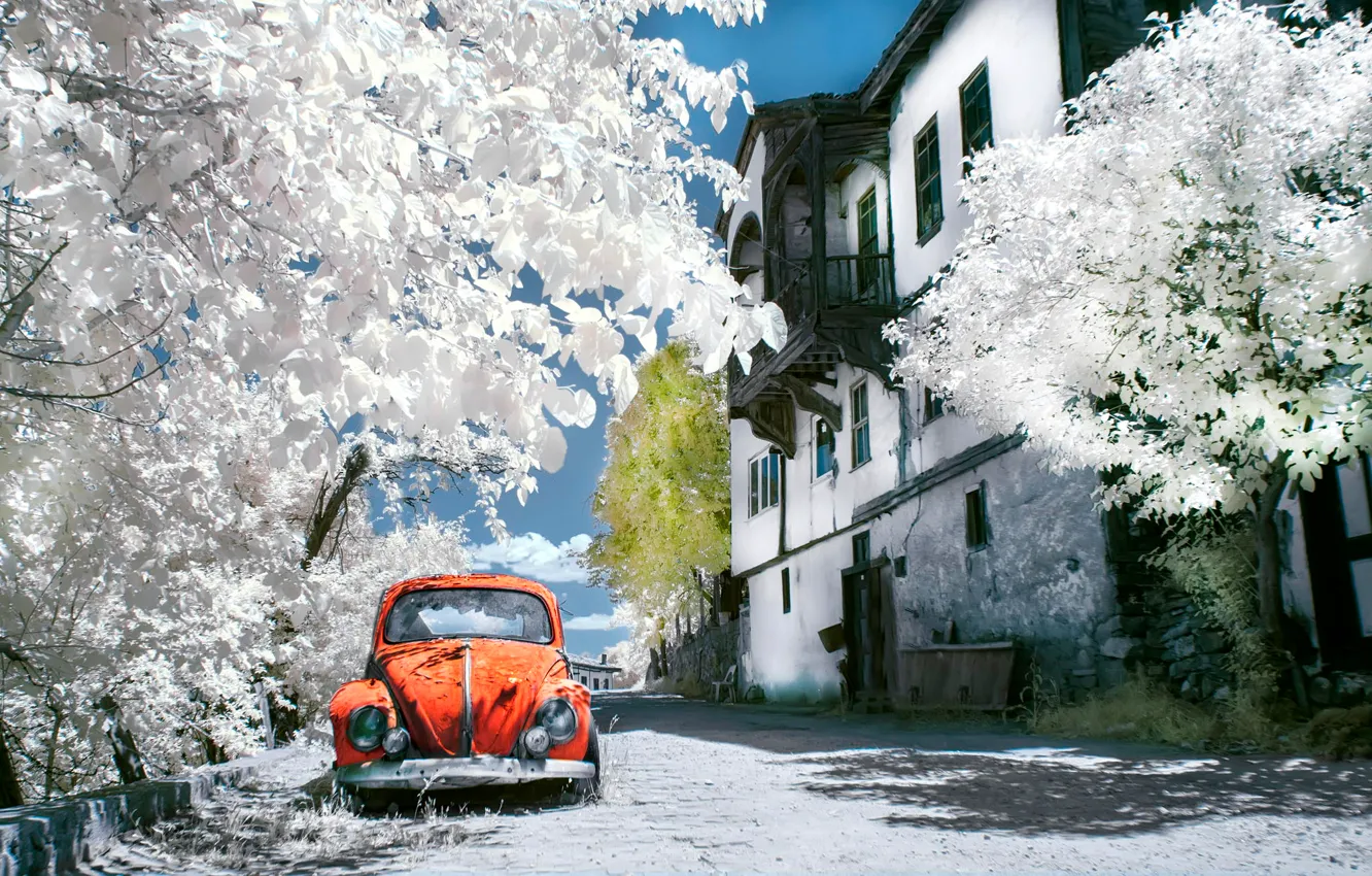 Photo wallpaper trees, house, street, car, Istanbul, istanbul