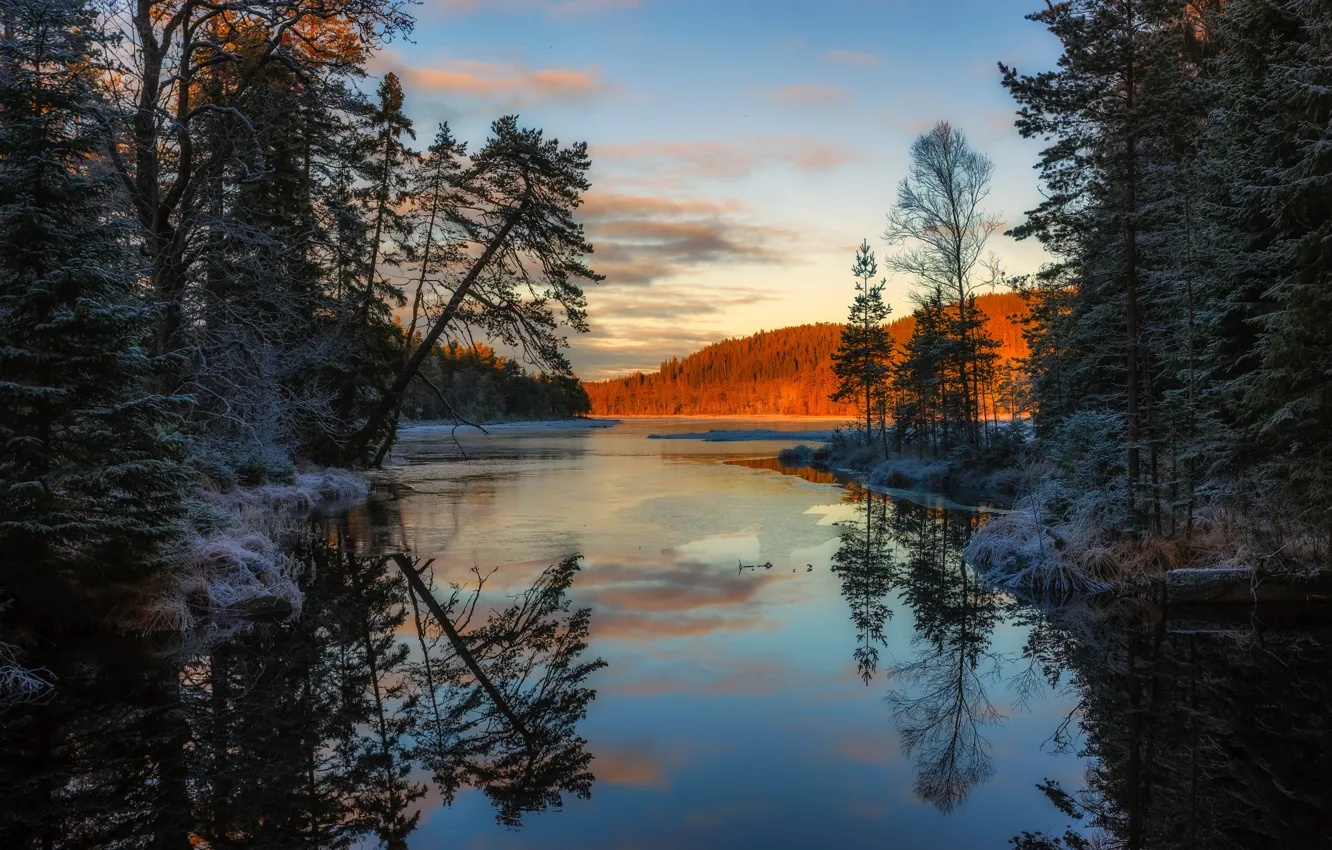 Photo wallpaper forest, water, snow, trees, sunset, reflection, river, the evening, Sweden, Arvika