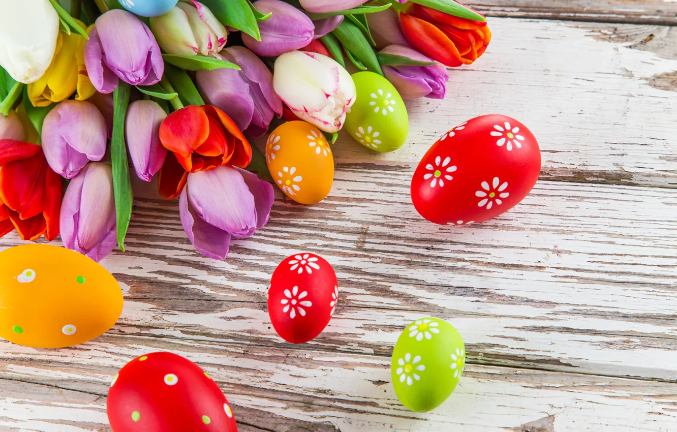 Photo wallpaper flowers, eggs, colorful, Easter, tulips, tulips, spring, Easter, eggs