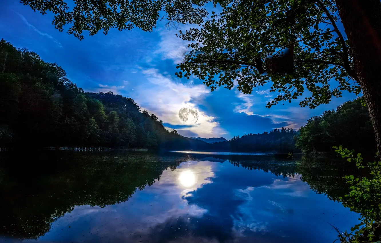 Photo wallpaper forest, the sky, clouds, light, trees, night, reflection, river, the moon, Germany, Mainz