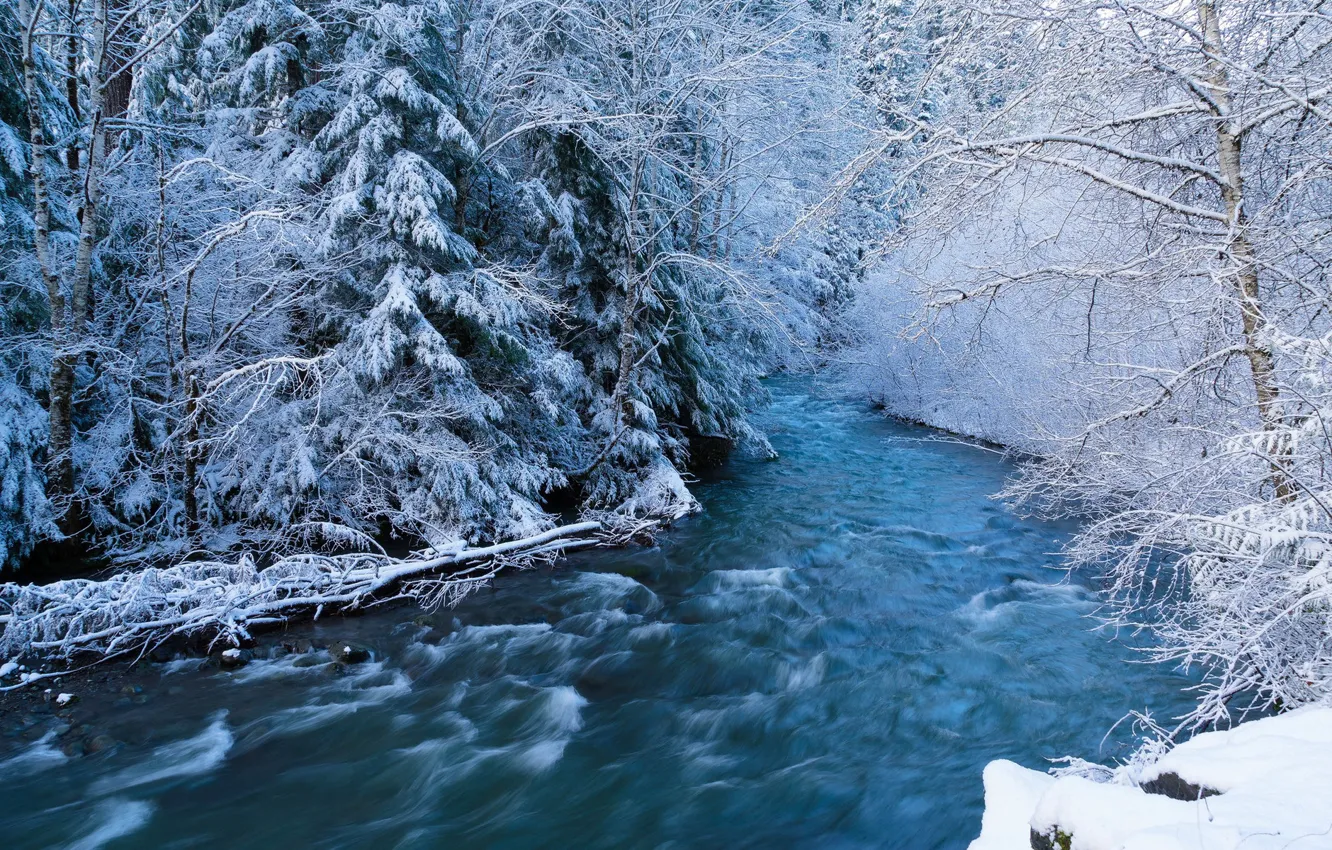 Wallpaper winter, forest, snow, river, stream images for desktop, section  природа - download