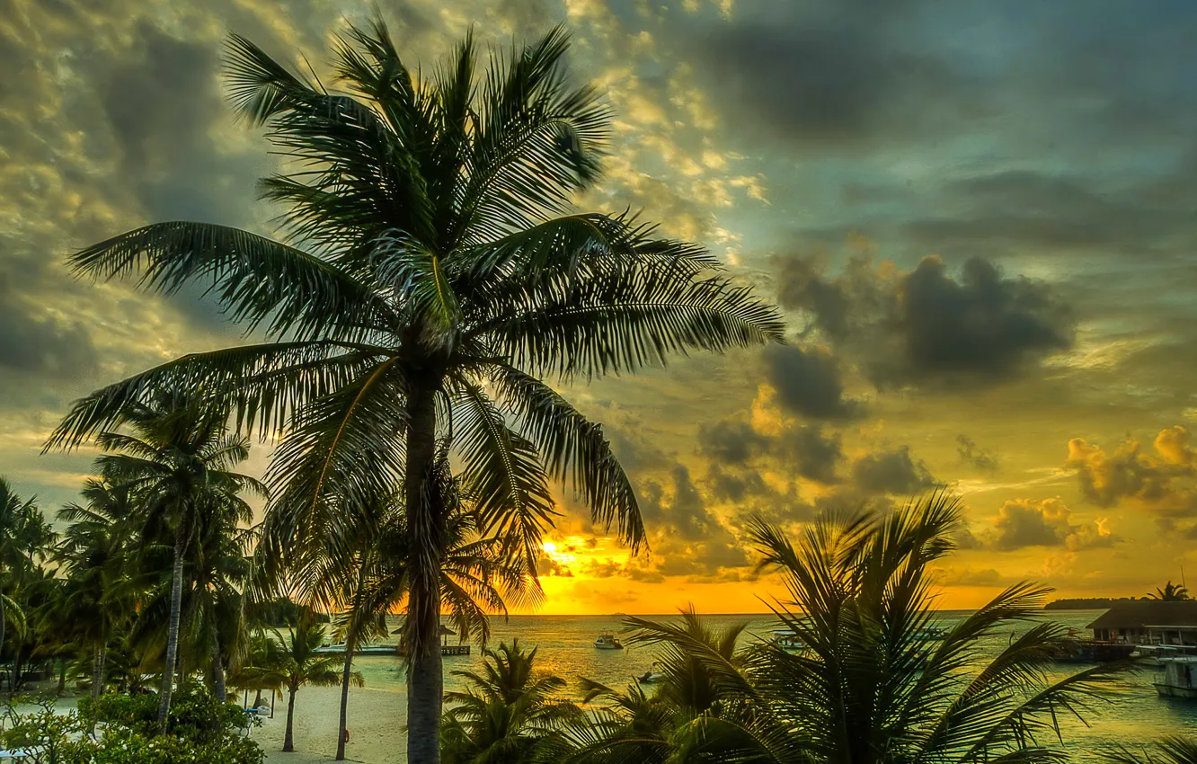 Photo wallpaper sand, sea, beach, the sky, clouds, sunset, tropics, palm trees, coast, The Maldives