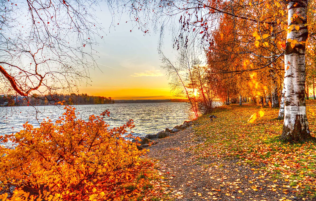 Photo wallpaper autumn, leaves, trees, landscape, sunset, nature, lake