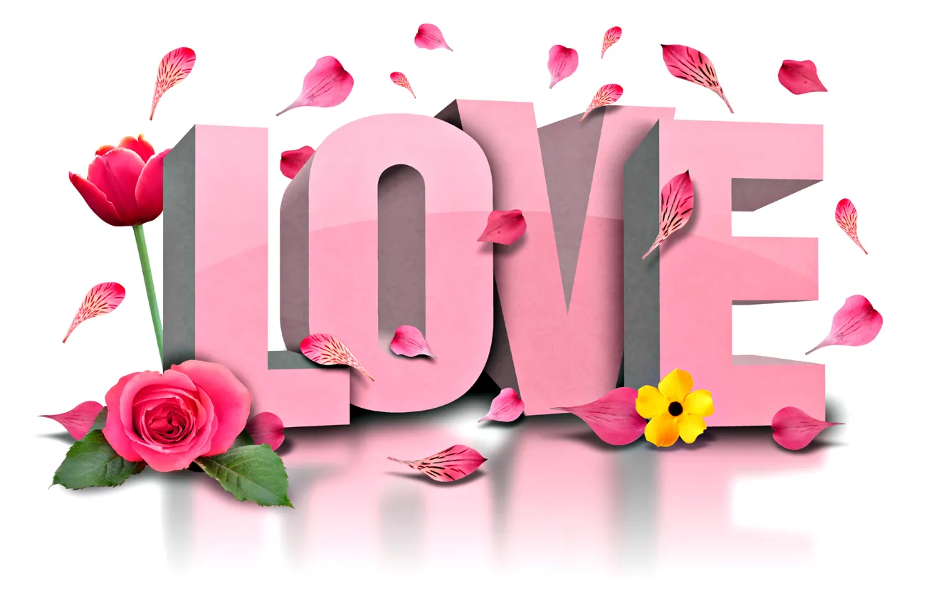 Wallpaper flower, love, flowers, rose, Love, Tulip, petals, flowers images  for desktop, section разное - download