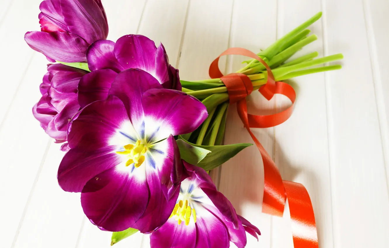 Photo wallpaper flowers, bouquet, tape, tulips, tulips, purple