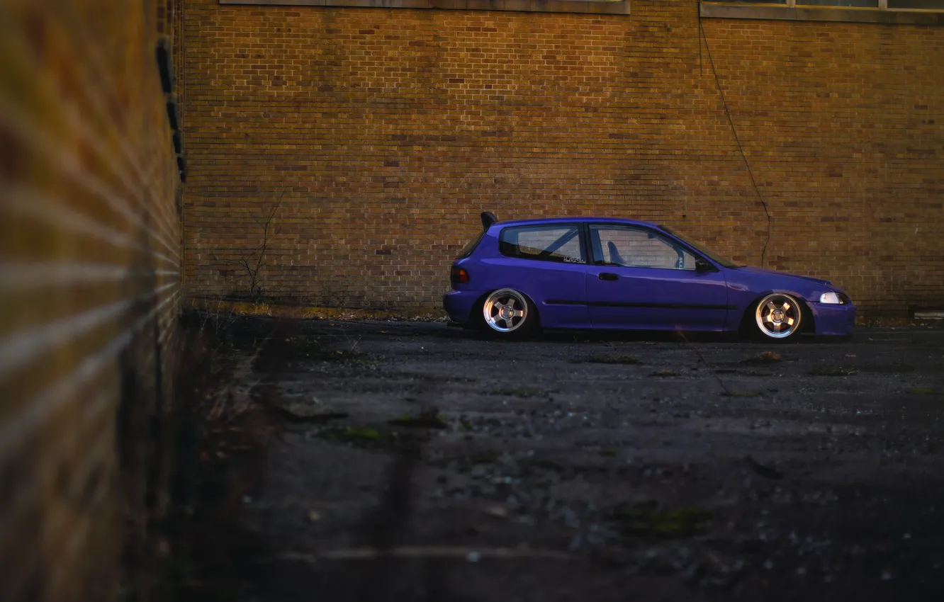 Photo wallpaper profile, Purple, Honda Civic, civici, stance. Honda
