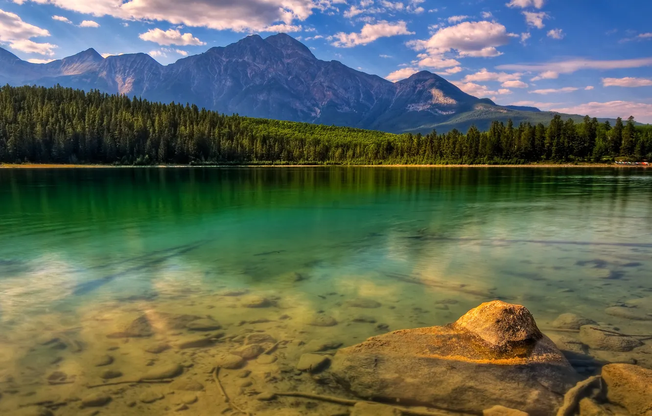 Photo wallpaper forest, mountains, lake, forest, nature, mountains, lake