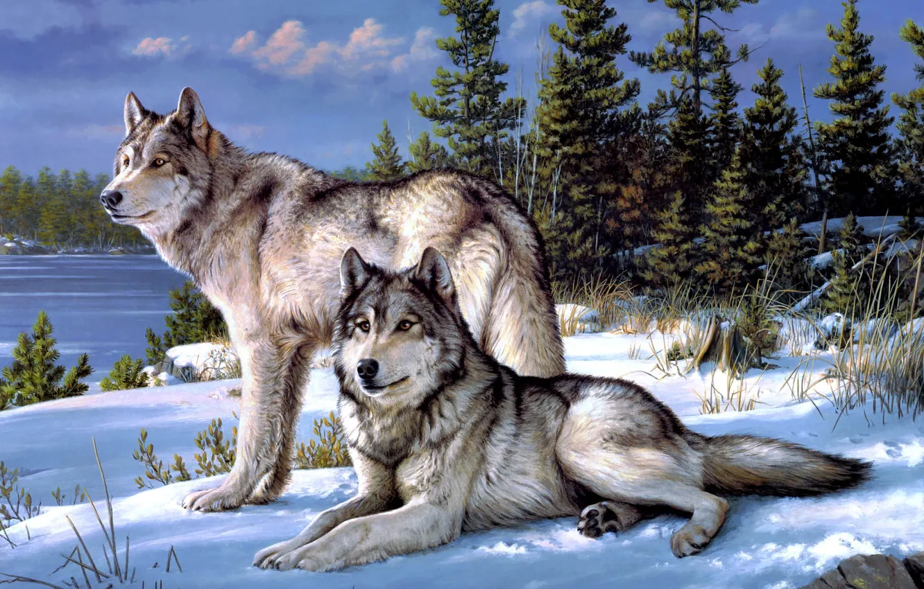 Photo wallpaper winter, forest, wolves, Joseph Hautman