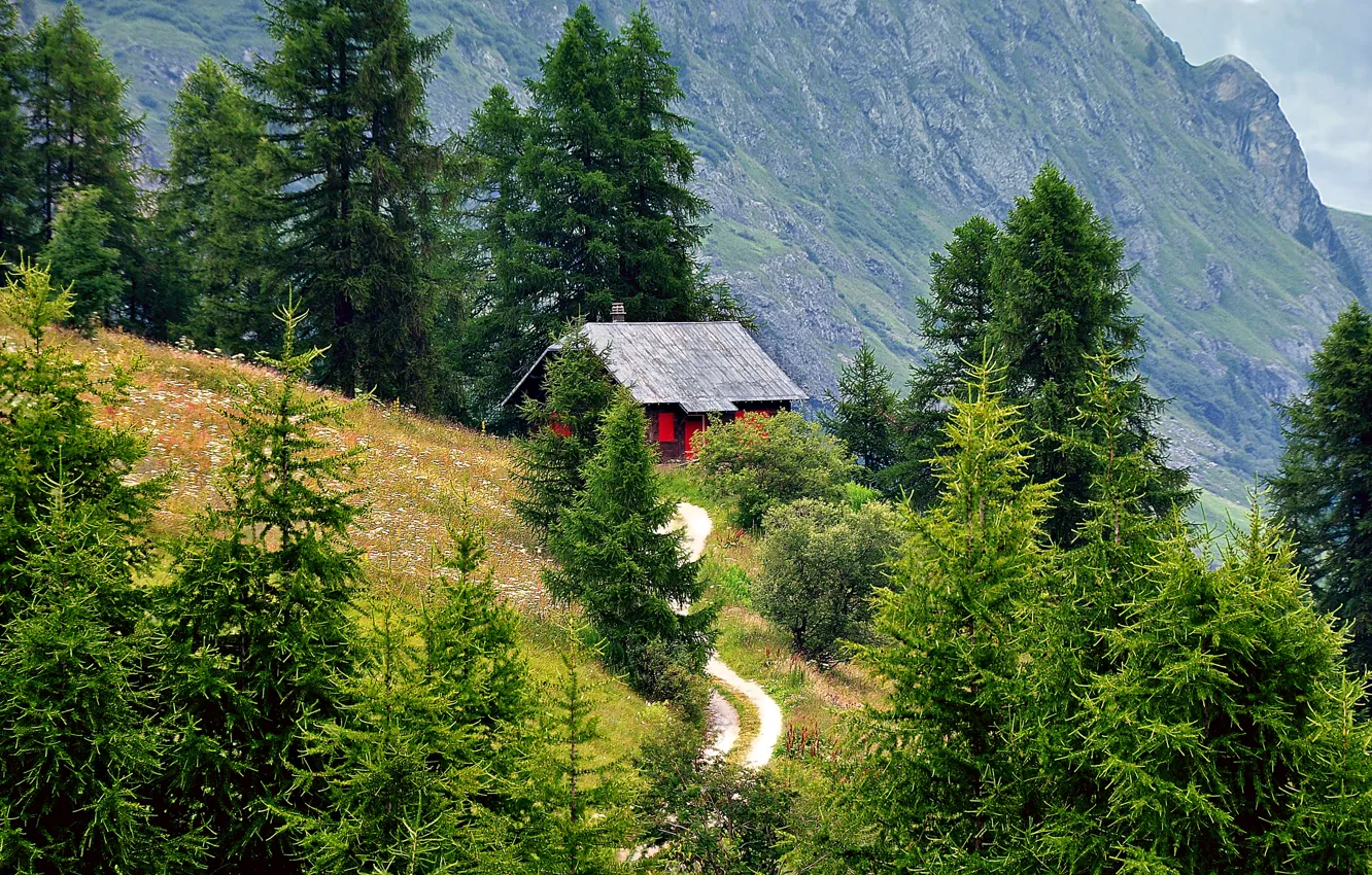 Photo wallpaper road, forest, trees, mountains, house