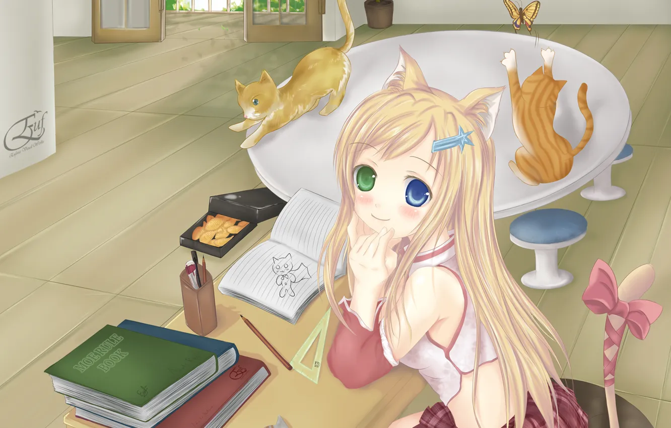 Wallpaper cat, room, butterfly, anime, art, girl, neko, lessons images for  desktop, section прочее - download