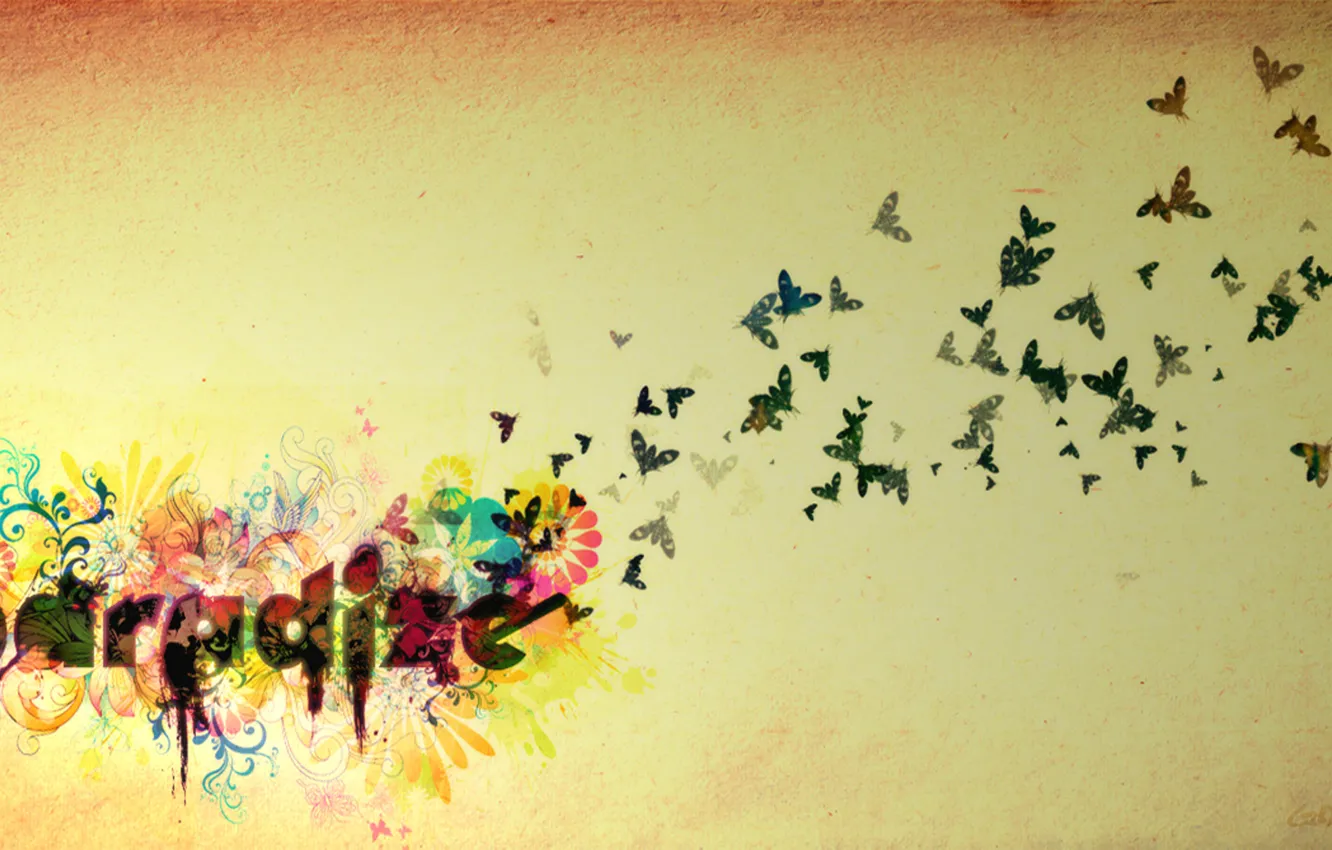 Photo wallpaper flower, butterfly, Paradise