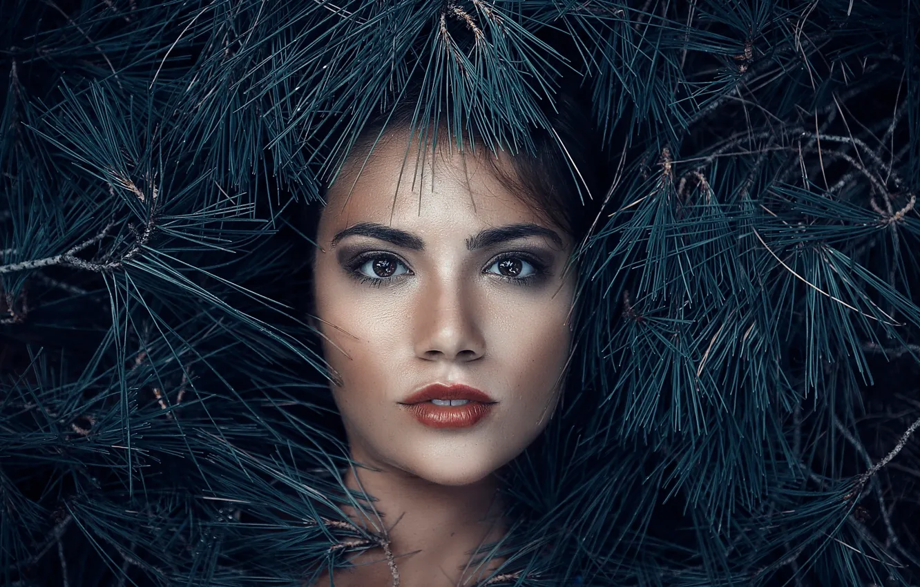 Photo wallpaper look, makeup, needles, Alessandro Di Cicco, Queen of the woods
