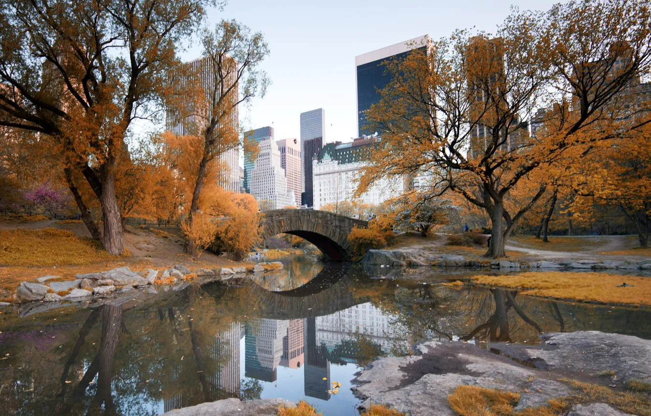Photo wallpaper autumn, the sky, trees, bridge, home, New York, USA, Central Park