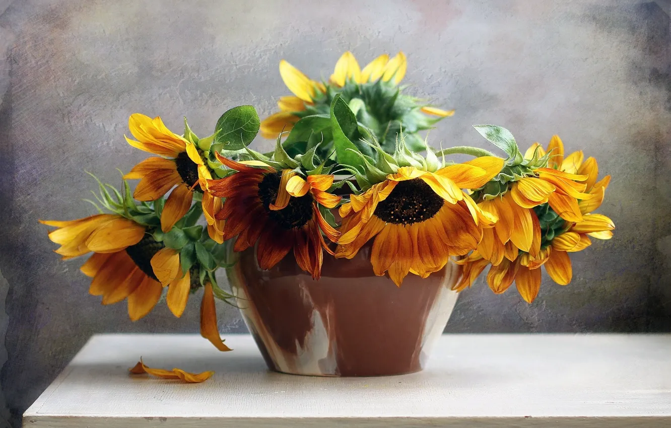 Photo wallpaper flower, nature, life, flowers, bouquet, sunflowers, still