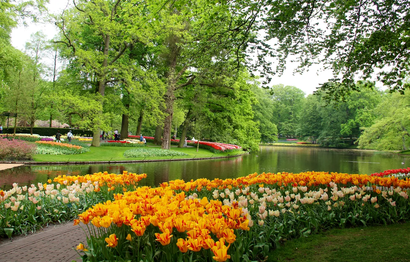 10x6.5ft Vinyl Spring Scenery Photography Background Holland Keukenhof Park Alley Among Colorful Tulips Green Trees Lake Backdrop Travel Party Girl Child Adult Portrait Studio Props 
