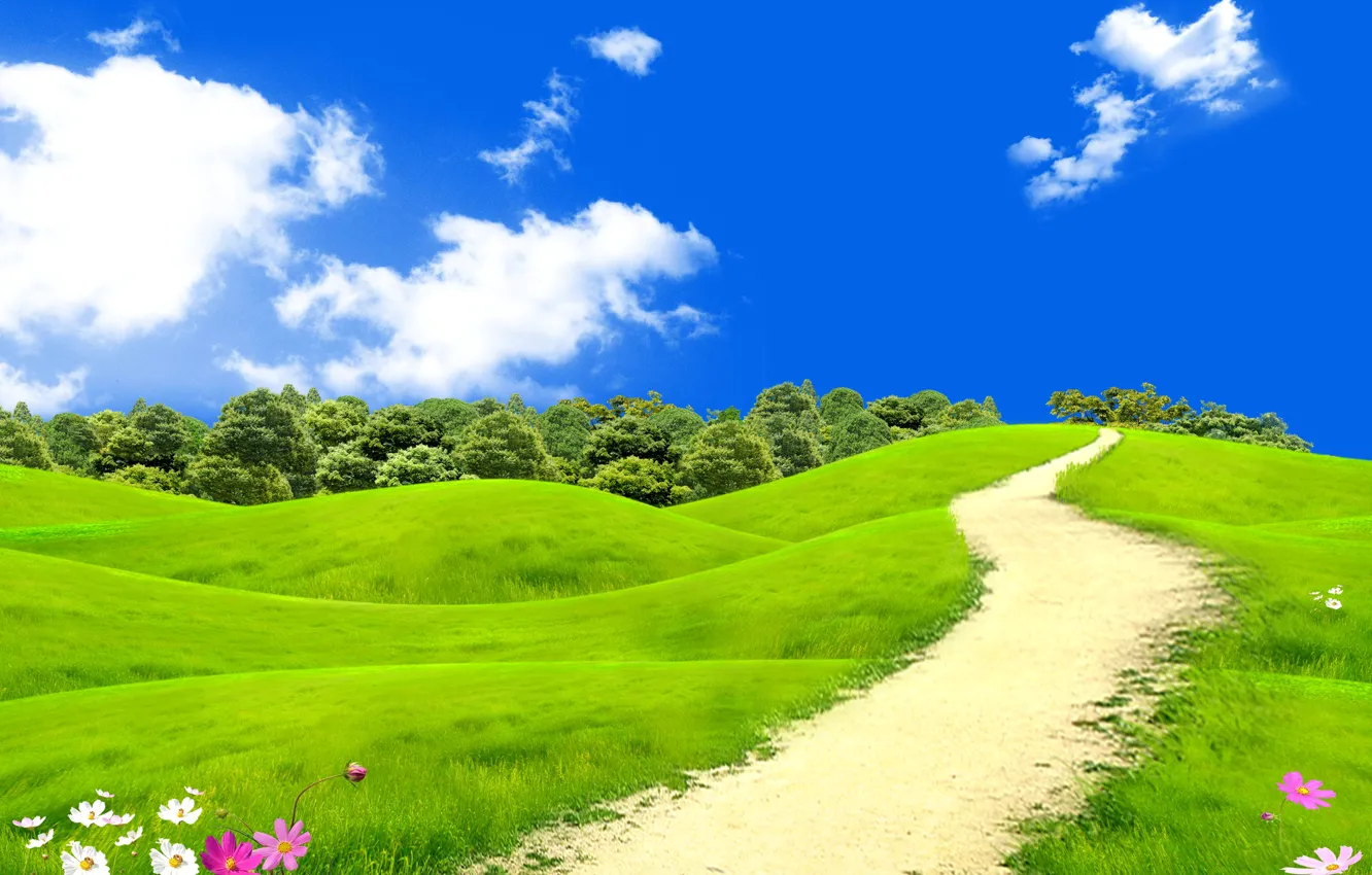 Wallpaper field, summer, the sky, grass, the sun, clouds, trees, flowers,  meadow, path images for desktop, section пейзажи - download