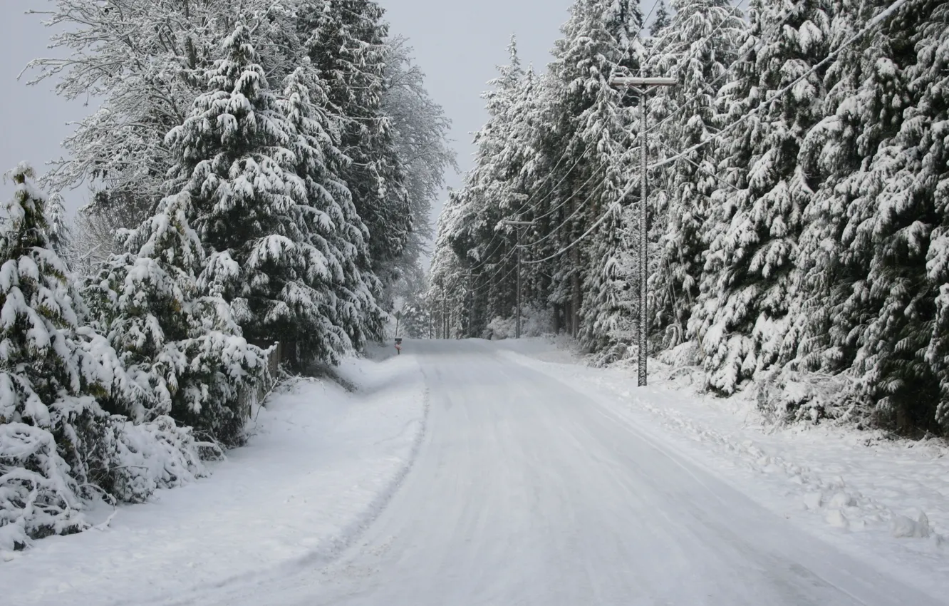 Photo wallpaper road, trees, Snow, winter