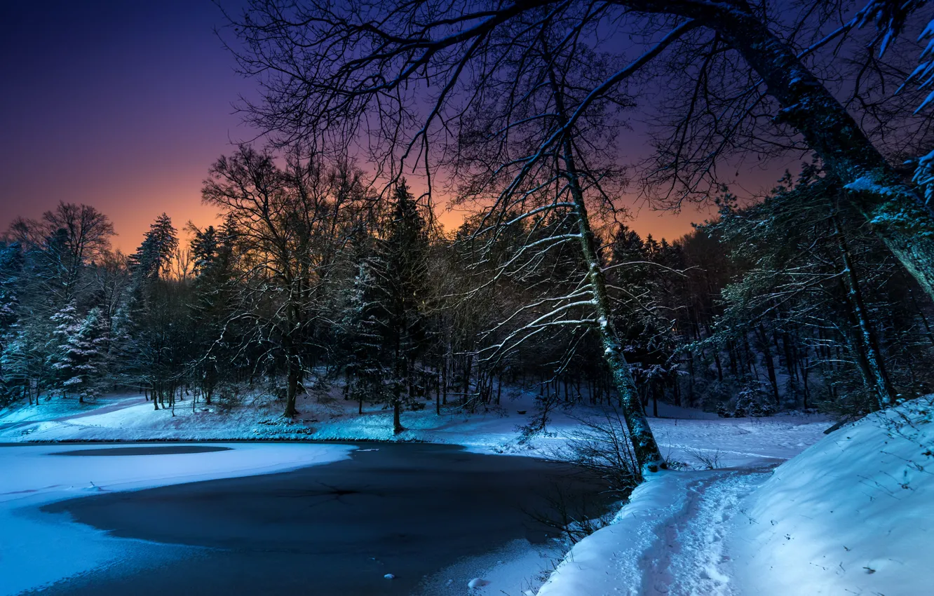 Photo wallpaper winter, snow, trees, night, pond, Park, path