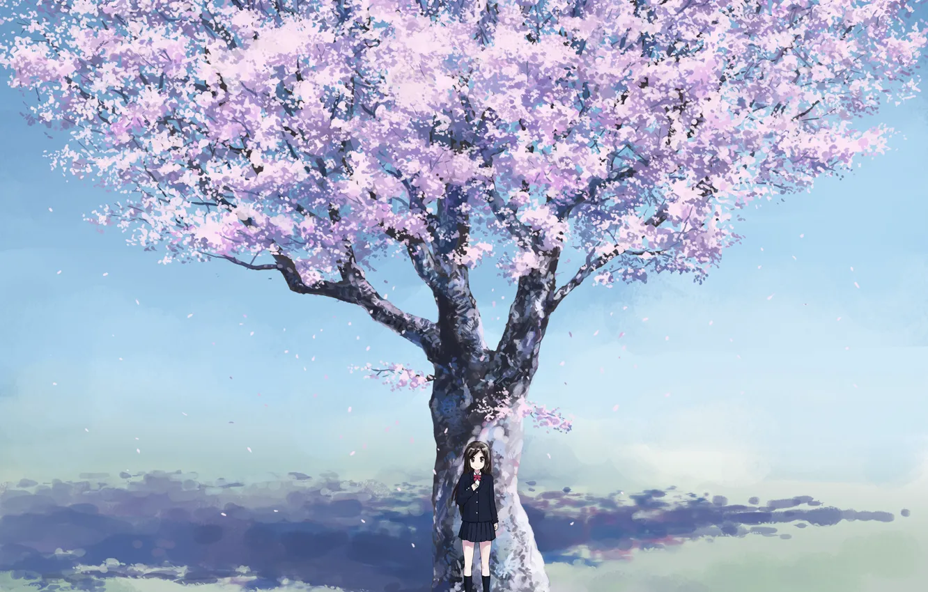 Photo wallpaper cherry, spring, anime, Sakura, girl