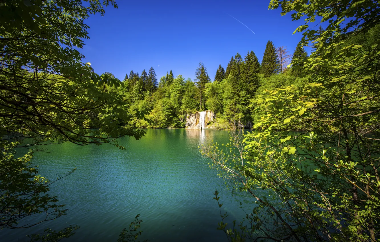 Photo wallpaper forest, trees, waterfall, Croatia, Croatia, Plitvice lakes, Plitvice Lakes National Park, National Park Plitvice lakes, …