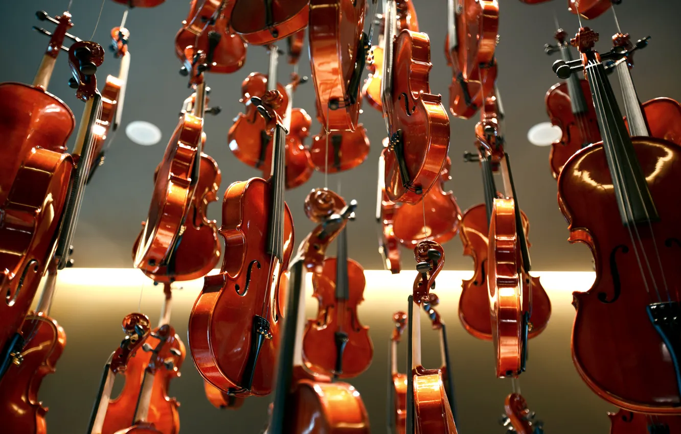Wallpaper background, Shine, lacquer, violin, Violins images for desktop,  section музыка - download
