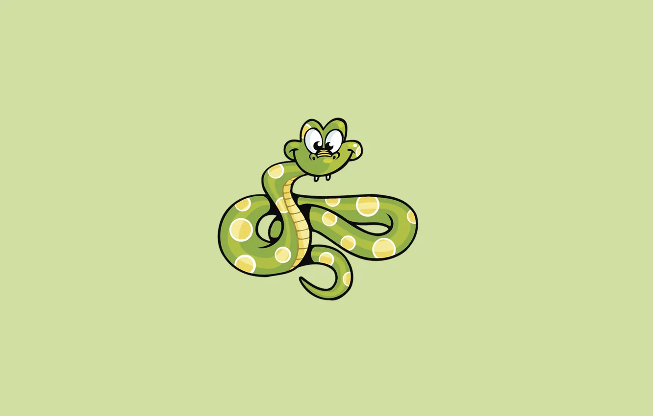 Wallpaper snake, minimalism, light background, snake images for desktop,  section животные - download