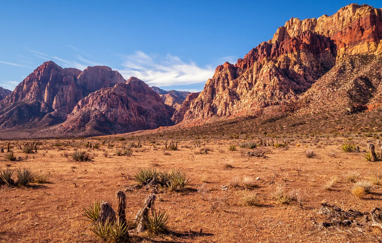 Wallpaper USA, sky, desert, mountains, rocks, Nevada, sunny, dry, Red Rock  Canyon images for desktop, section пейзажи - download