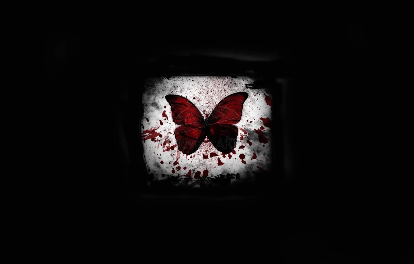 Wallpaper light, butterfly, blood, black background, spot images for  desktop, section минимализм - download