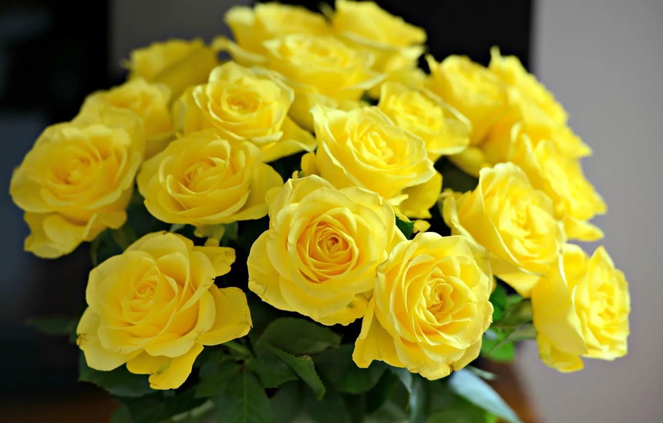 Download Wallpaper Roses Bouquet Yellow Images For Desktop Section Cvety Download Yellowimages Mockups