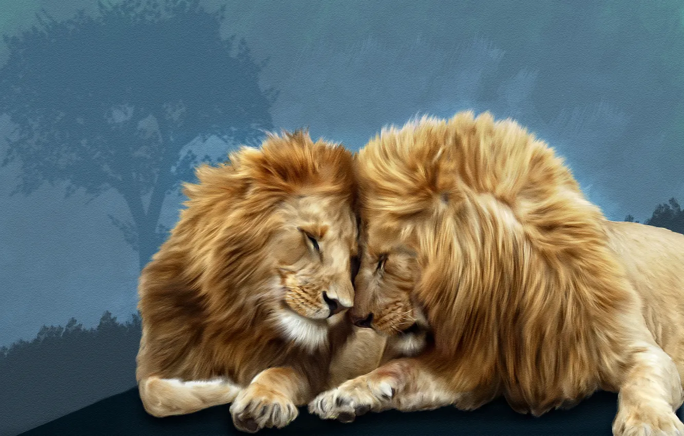 Wallpaper lions, Photoshop, brotherly love images for desktop, section  кошки - download