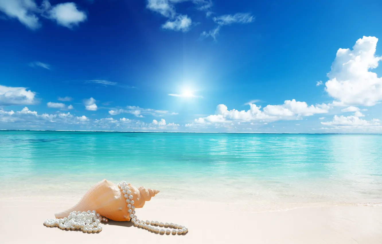 Wallpaper sunshine, beach, sea, sand, seashell images for desktop ...