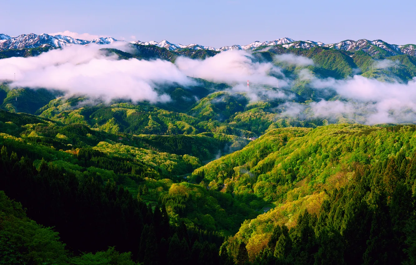 Photo wallpaper forest, the sky, mountains, fog, spring, morning, Japan, Honshu, Ishikawa