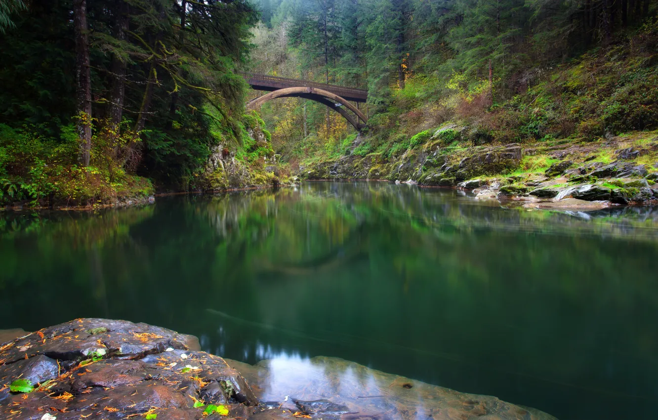 Photo wallpaper forest, bridge, river, Washington, Washington, river Lewis, Lewis River, Yacolt, Moulton Falls Regional Park, Yacolt