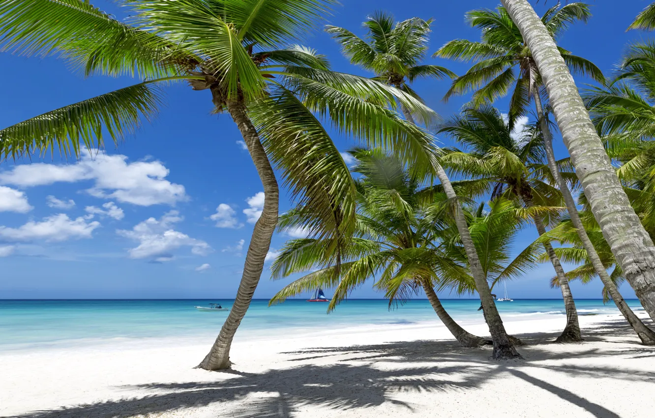 Photo wallpaper sand, sea, beach, tropics, palm trees, shore, summer, sunshine, beach, sea, ocean, paradise, vacation, palms, …
