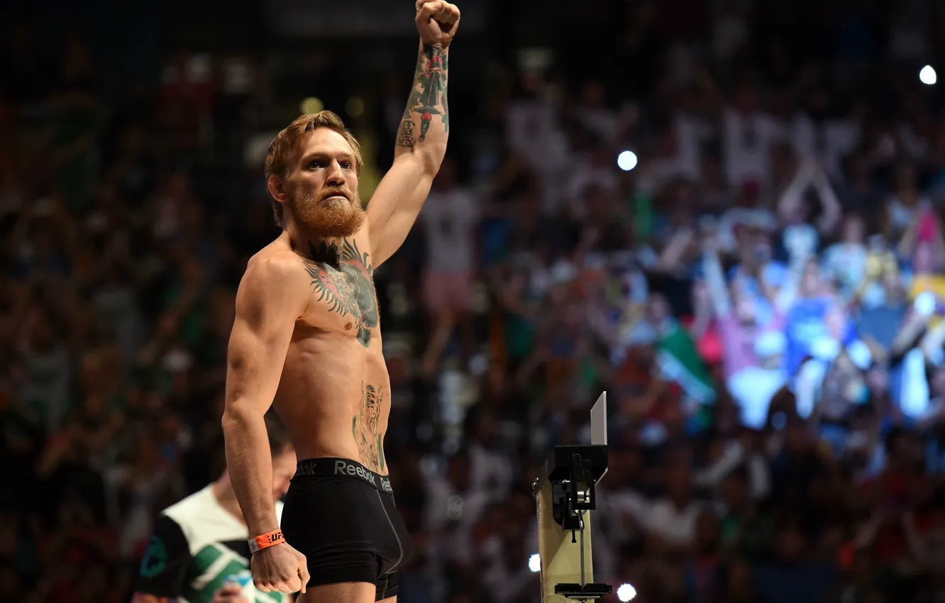 Wallpaper MMA, UFC, Conor McGregor, Conor McGregor images for desktop,  section спорт - download