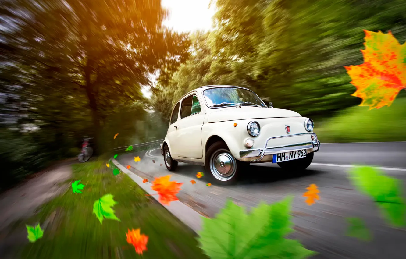 Photo wallpaper road, autumn, leaves, car, Germany, Fiat 500, Hamburg