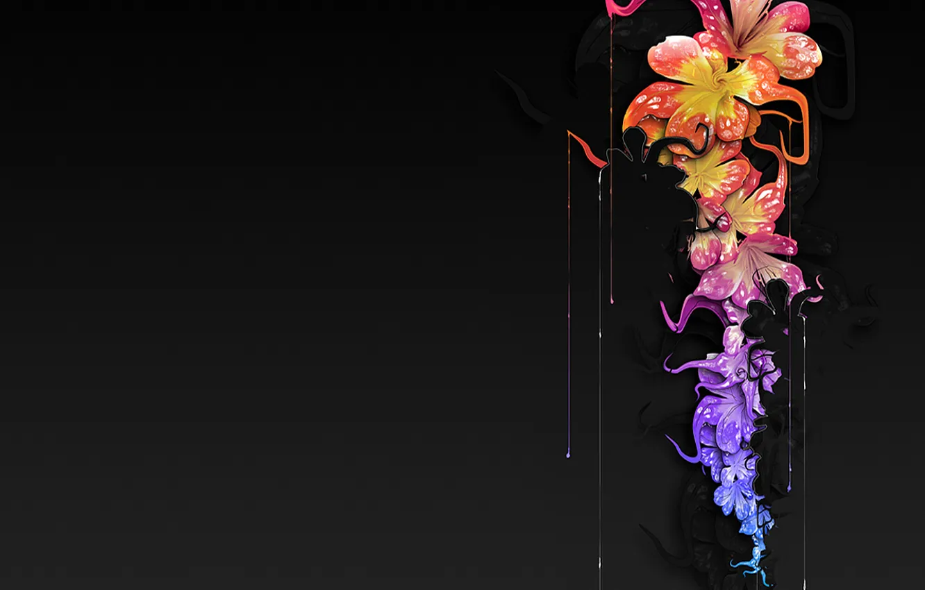 Wallpaper drops, flowers, paint, black background images for desktop,  section стиль - download