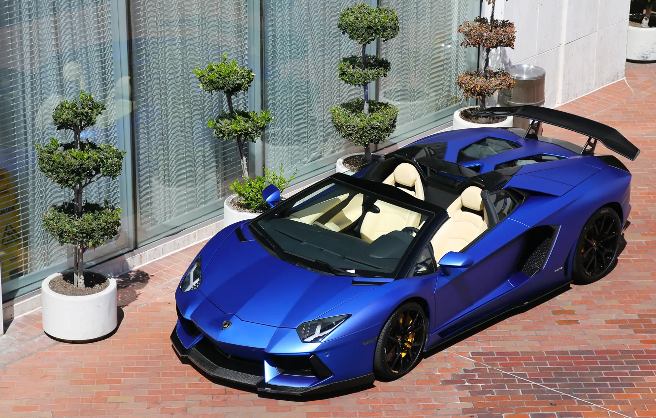 Photo wallpaper Roadster, Lamborghini, LP700-4, Aventador, matte blue