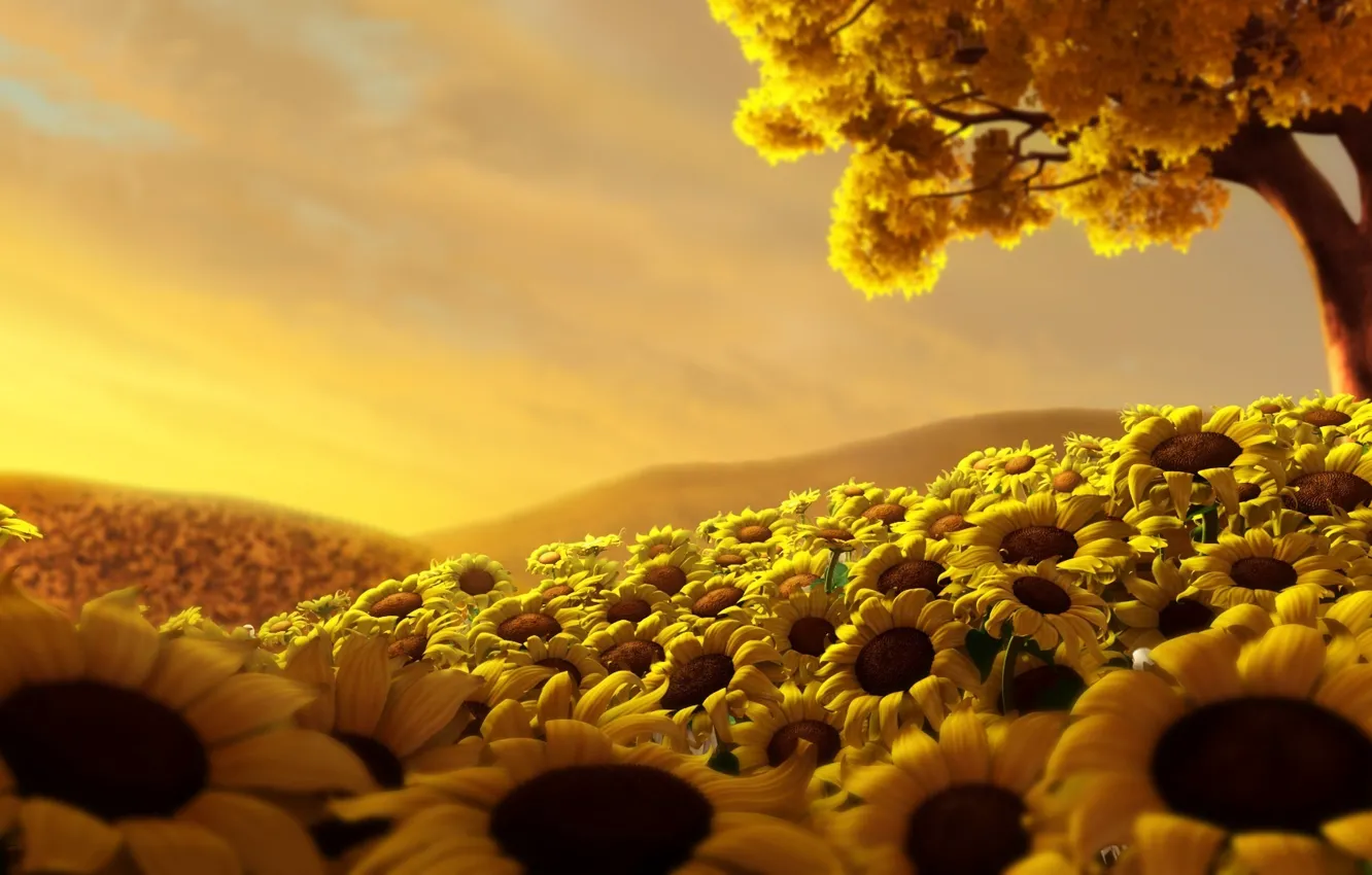 Photo wallpaper field, the sky, tree, Sunflowers