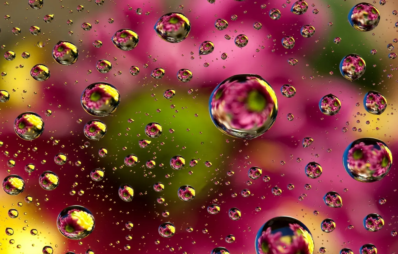 Wallpaper abstraction, bubbles, background, colors, colorful, abstract,  bubbles, background, floral images for desktop, section абстракции -  download