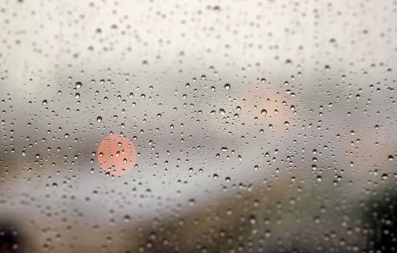 Photo wallpaper glass, drops, window, Rain