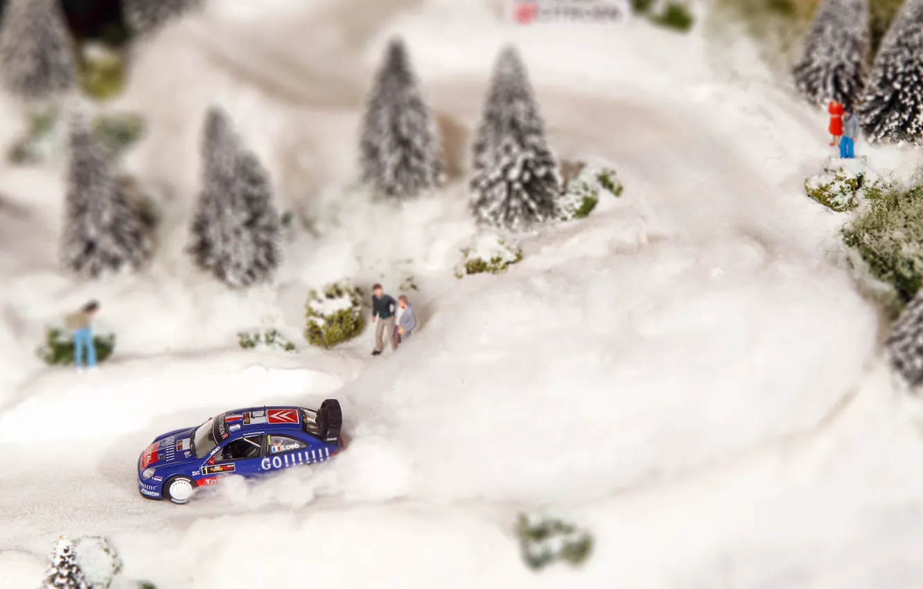 Photo wallpaper Winter, Blue, Tree, Citroen, WRC, Rally, Rally, Sebastien Loeb, Layout, Diorama, C 4