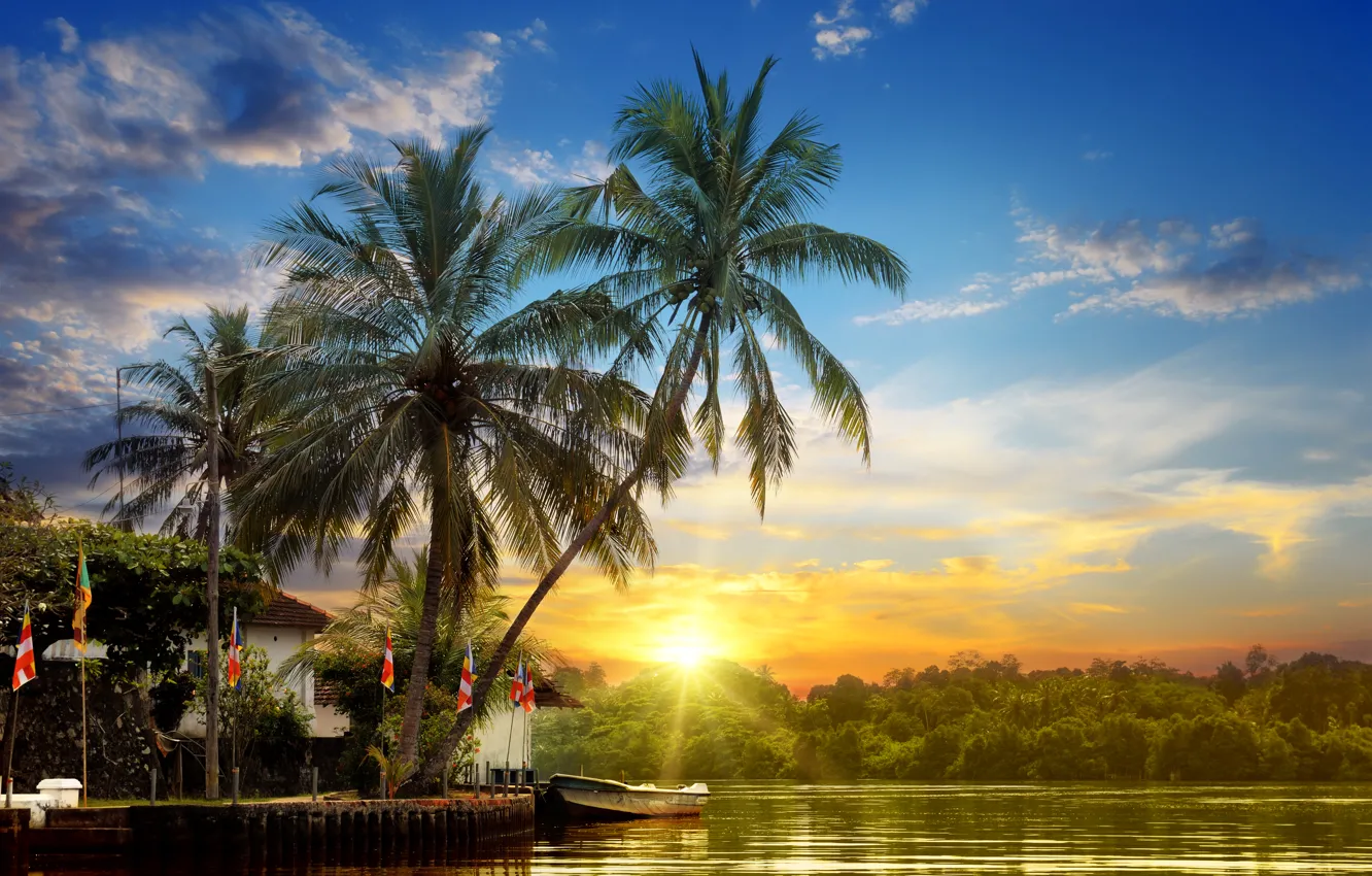 Wallpaper forest, the sky, the sun, clouds, rays, sunset, tropics, river,  palm trees, shore, boat, pier images for desktop, section пейзажи - download