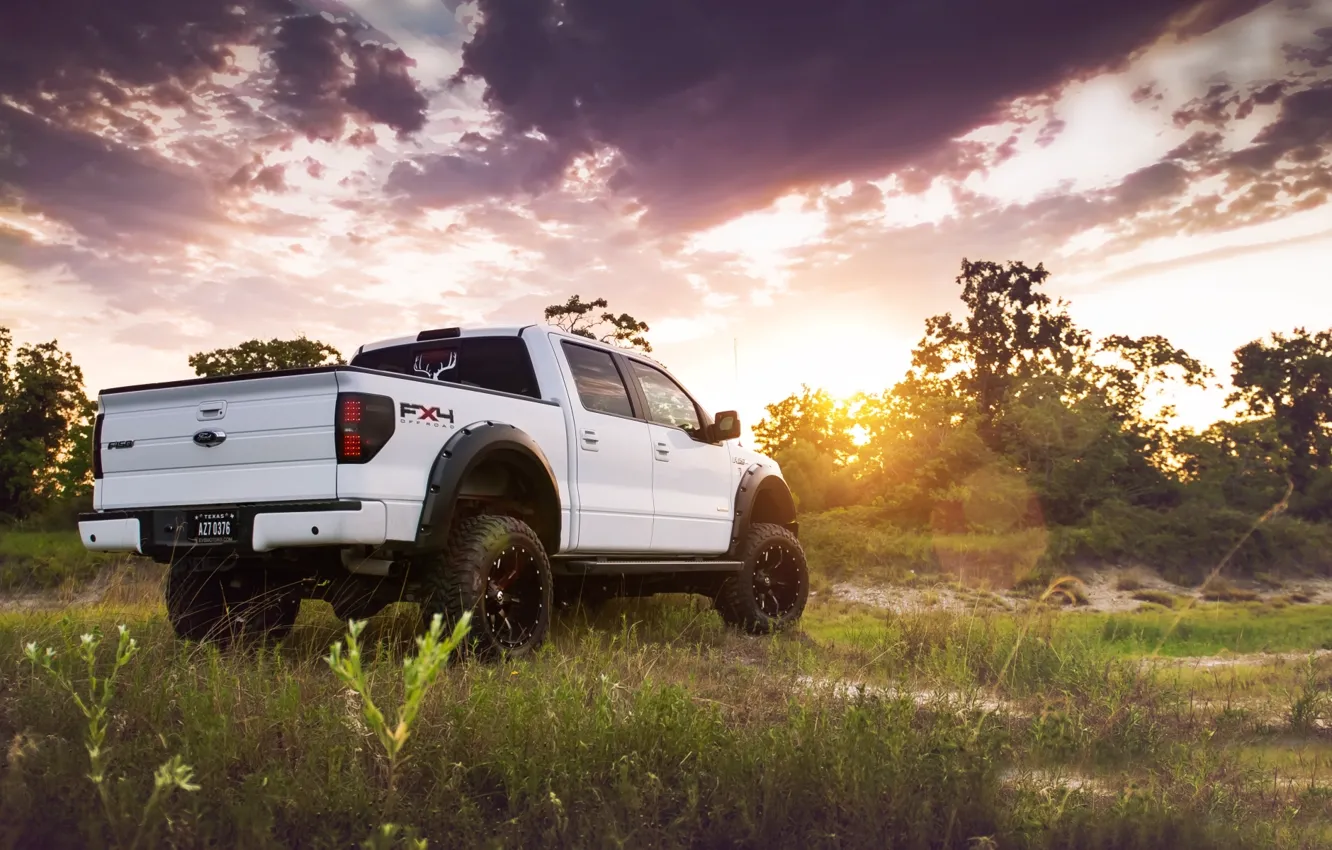 Photo wallpaper white, the sky, grass, the sun, trees, tuning, Ford, Ford, jeep, SUV, rear view, pickup, …