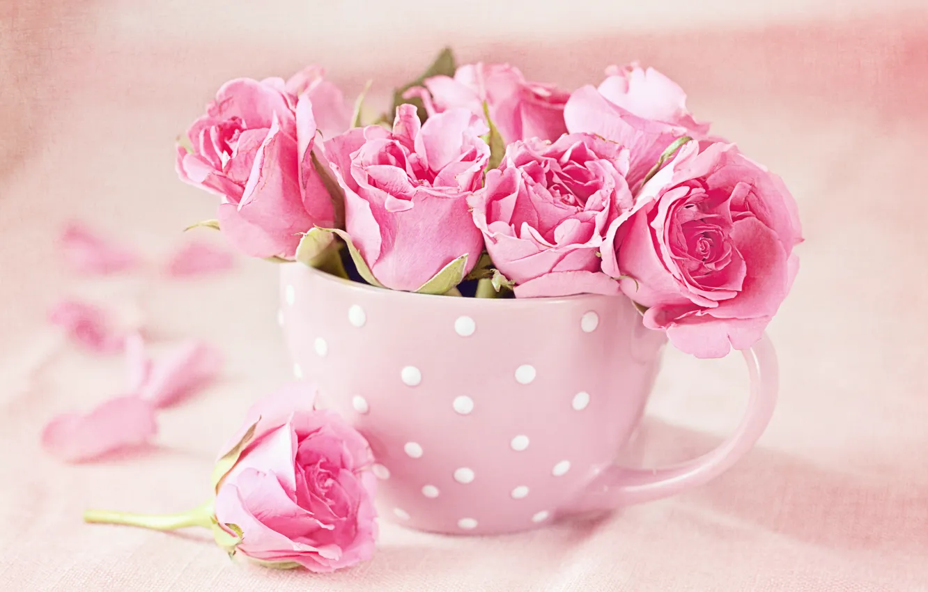 Photo wallpaper roses, bouquet, Cup, pink, cup, roses