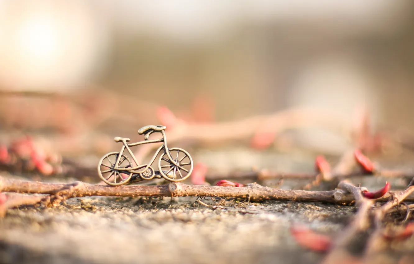 Wallpaper bike, background, toy images for desktop, section разное -  download