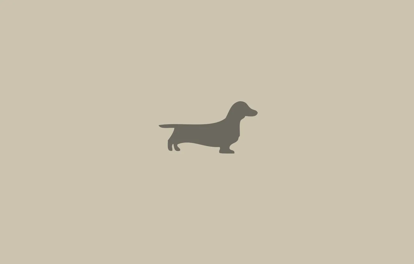 Wallpaper dog, silhouette, Dachshund images for desktop, section минимализм  - download